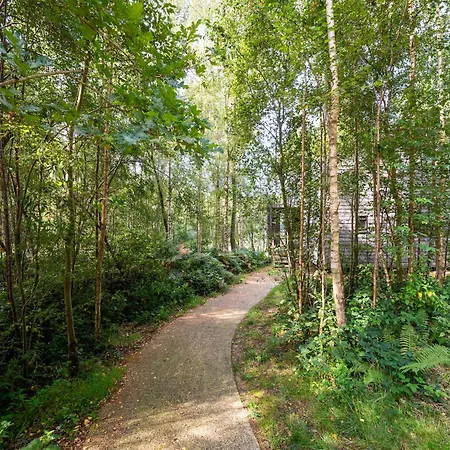 Waterside Elegance Sky Pad *